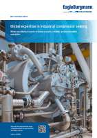 Global expertise in compressor sealing