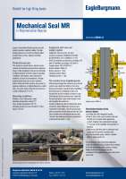 Solution: Mechanical seal MR in polymerization reactor 