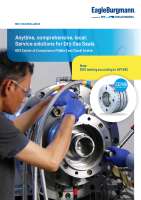 Flyer_DGS_Center_of_Competence_Middle_East